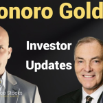 Sonoro Gold Exclusive Updates on Projects, Shareholder Value, and Future Plans